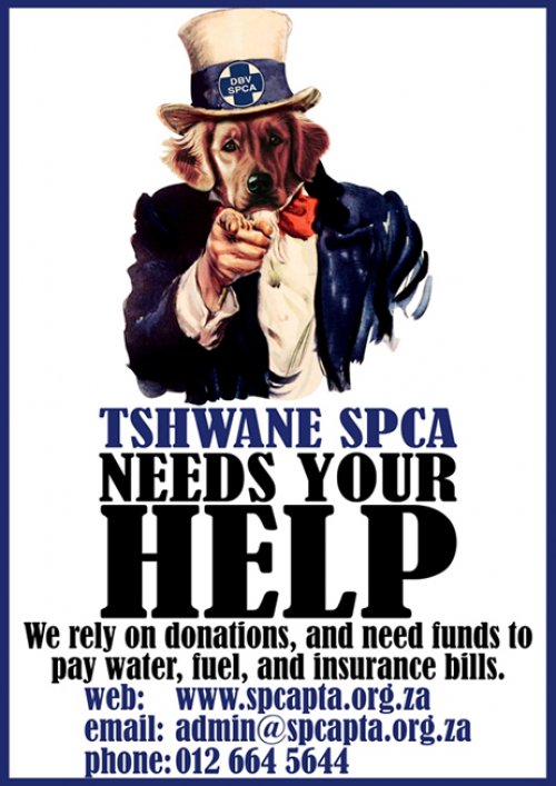 SPCA - We need you